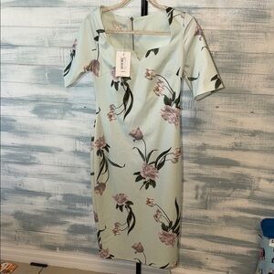 Ted Baker Mint Green Floral Sheath Dress Size 2 NWT Belted Short Sleeve